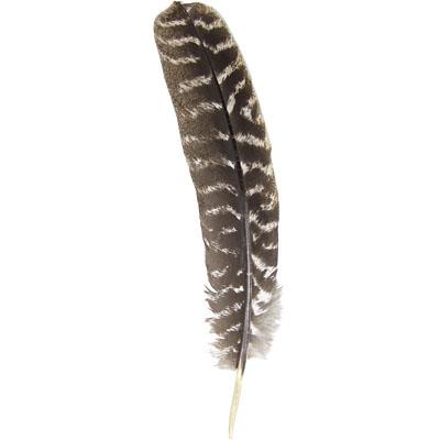 Smudge Feather Single