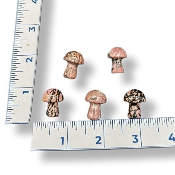 Rhodonite Mushroom Mini