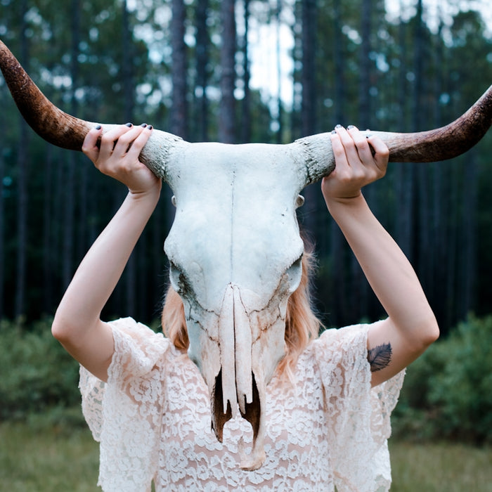 woman holding white and black animal skull wearing white lace floral sleeveless dress near green leaf trees