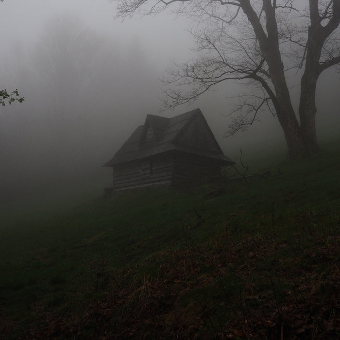 gray wooden house covered by fog