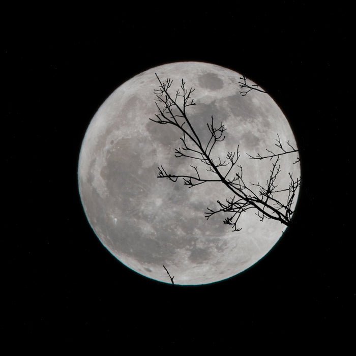 full moon