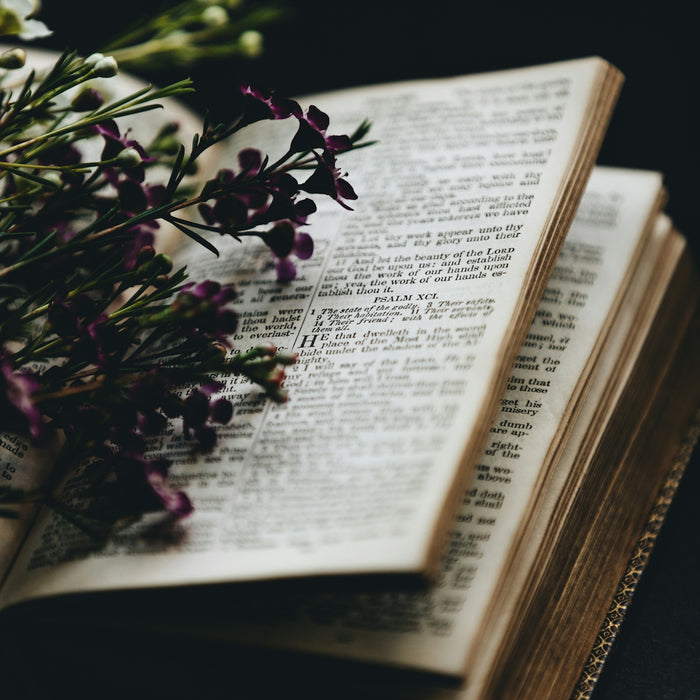 purple flowers on bookpage
