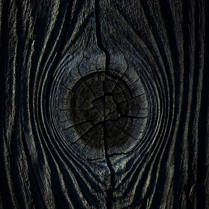 a close up of a tree trunk with a hole in it
