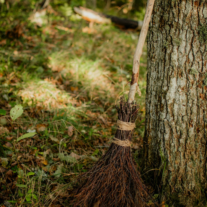 a broom leaning against a tree in the woods