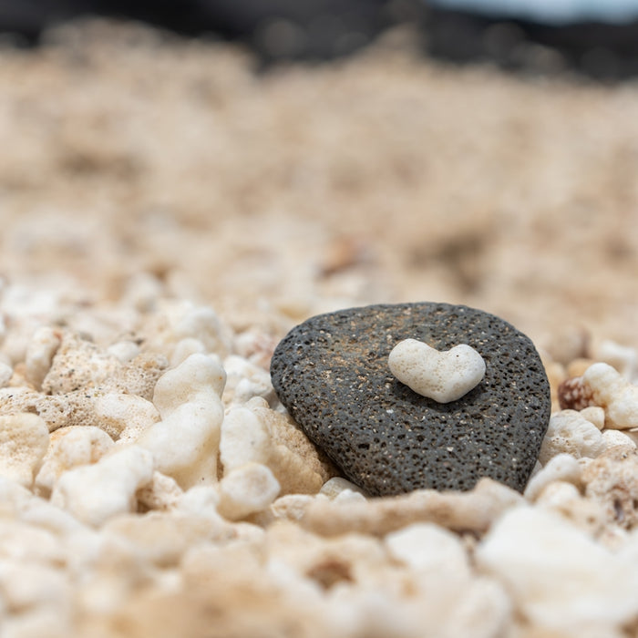 White heart-shaped stone on a dark rock surrounded by pebbles.