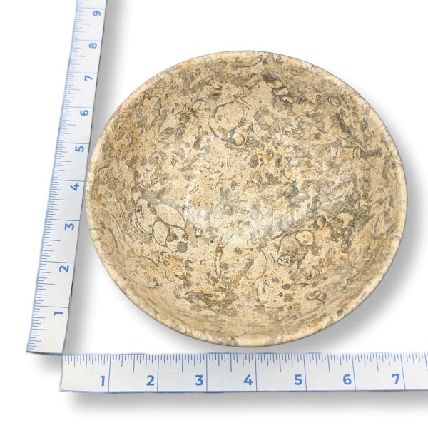Rocks 6" Fossil Bowl