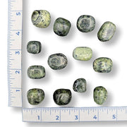A collection of tumbled green jade stones of various sizes, displayed alongside a ruler for scale.