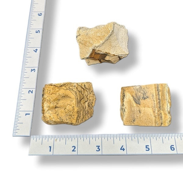 Three pieces of rock on a white background with a ruler for scale.