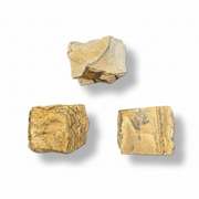 Three irregular tan and beige stone or mineral chunks with natural texture and darker veining, arranged on a white background with soft drop shadows.
