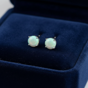 Pair of amazonite stud earrings on a blue velvet cushion