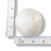 A round, selenite sphere  shown next to a white ruler for scale on a white background.