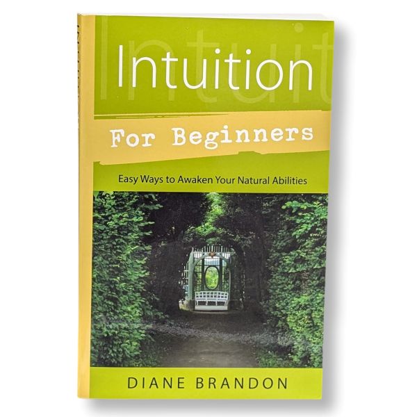 Intuition for Beginners