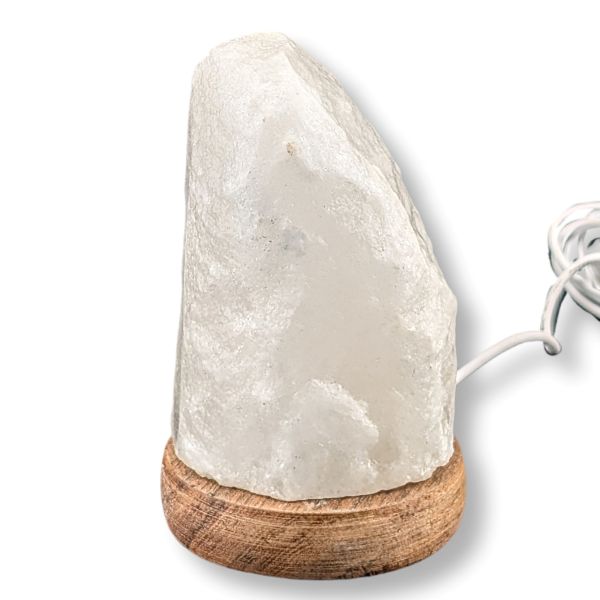 White stone lamp with wooden base on a white background
