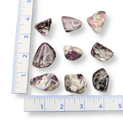 Assorted polished gemstones on a white background with a ruler for scale.