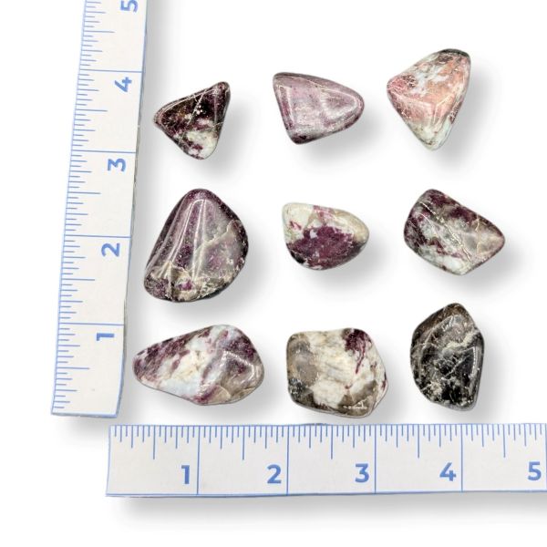 Pink Tourmaline in Quartz Tumbled