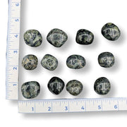 Kambaba Jasper stones with a ruler for scale on a white background