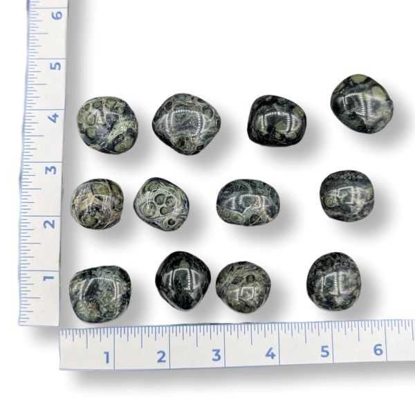 Kambaba Jasper stones with a ruler for scale on a white background
