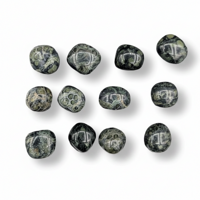 Kambaba Jasper Tumbled  on a white background