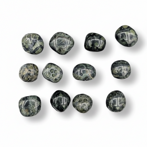 Kambaba Jasper Tumbled  on a white background