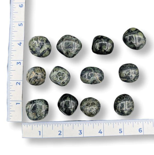 Kambaba Jasper stones with a ruler for scale on a white background