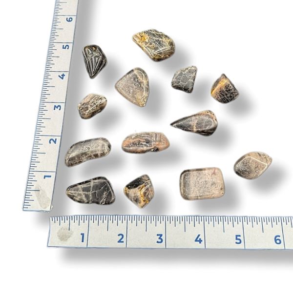 Black Moonstone tumbled on a white background with rulers for size