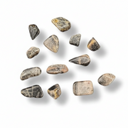 Black Moonstone tumbled on a white background