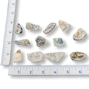 Pieces of agate geodes with a ruler for scale on a white background