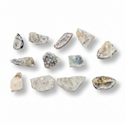 A set of agate pieces in various shapes and natural colors on a white background with soft drop shadows.