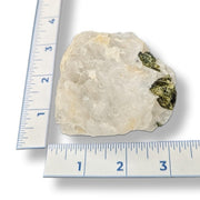 Rock sample with green minerals on a white background with a ruler for scale.