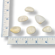 White stones on a white background with a ruler for scale