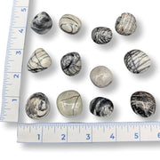 Marbled stones of various sizes on a white background with a ruler for scale.