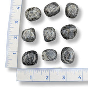 Set of tumbled larvikite with a ruler for scale on a white background