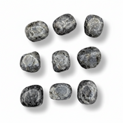 Larvikite tumbled on a white baclkround