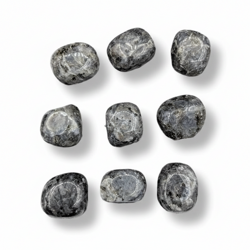 Larvikite tumbled on a white baclkround