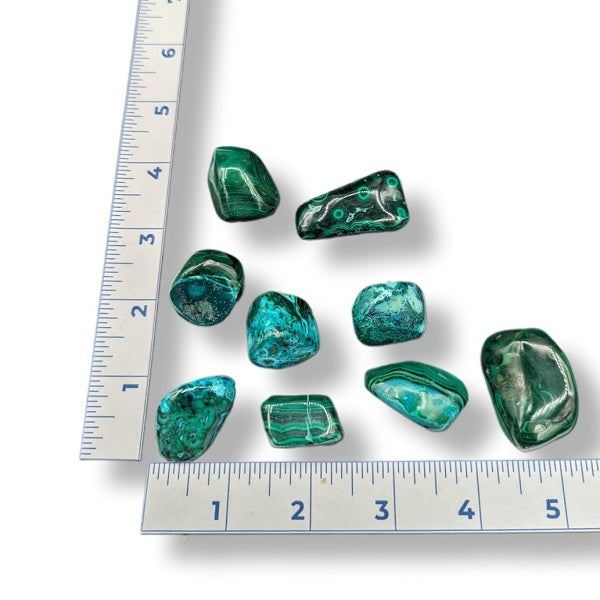 Malacholla stones on a white background with a ruler for scale