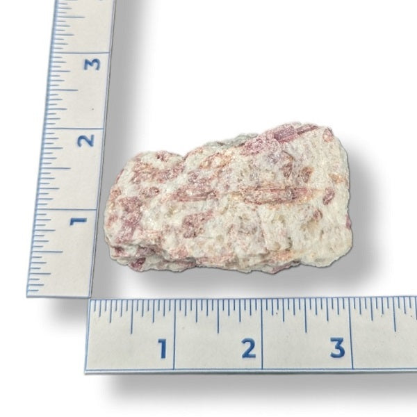 Rock next to a ruler on a white background