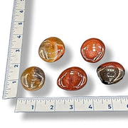 Five carnelian stones of different shapes and sizes on a white surface with a ruler for scale.
