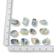 Set of yellow obsidian stones next to a ruler on a white background