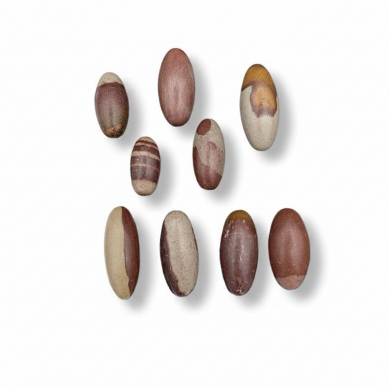 Shiva lingham stones with natural earthy patterns in brown, beige, and gray, arranged on a clean white background.