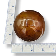 Brown spherical object on a white surface with a ruler for scale.