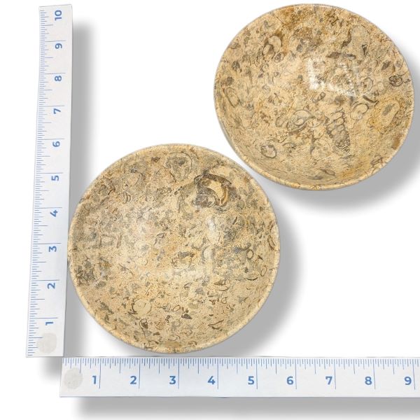 Rocks Fossil 5" Bowl