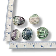 Fluorite Earthstones on a white background with a ruler for scale.