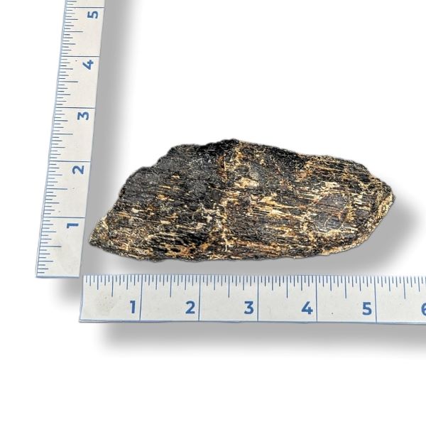 Rock next to a ruler on a white background