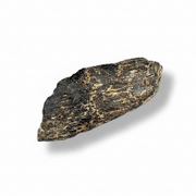 Dark brown stone on a white background