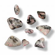 Rhodonite tumbled on a white background
