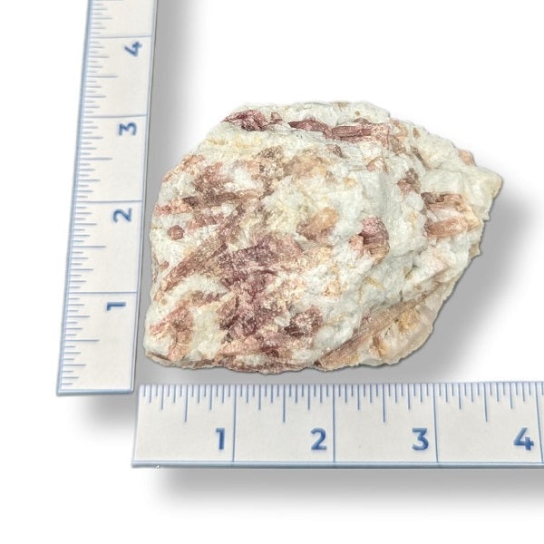 Rock next to a ruler on a white background