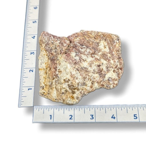 Rock sample next to a ruler on a white background