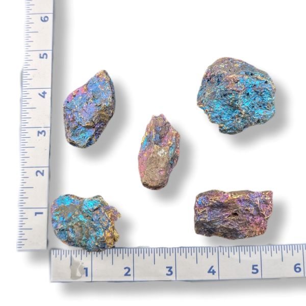 Five raw, rough iridescent mineral or gemstone pieces displayed on a white background with a 6-inch metal ruler on the left and bottom for size reference.