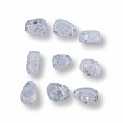 Violet Obsidian tumbled  on a white background