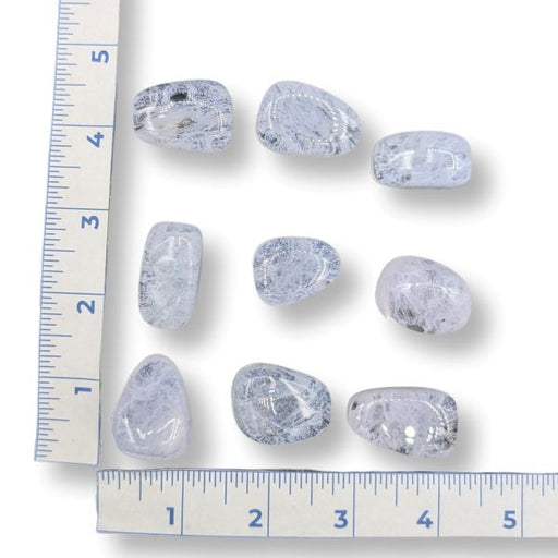 Violet obsidian tumbled  with a ruler for scale on a white background